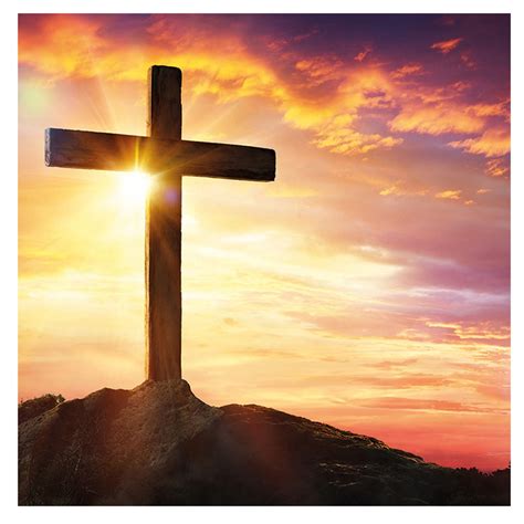 Image result for Cross Trainer SXT Pumps Two 5662