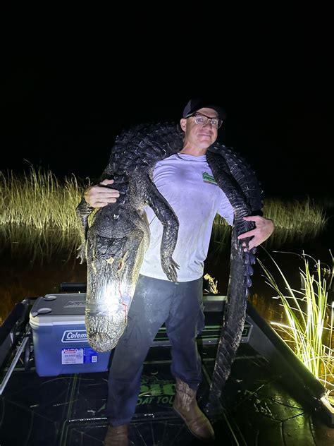 Toradh íomhá ar Python Hunting Pig