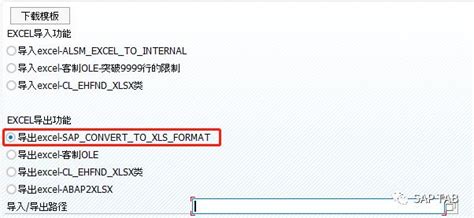 Image result for Convert SAP to Excel