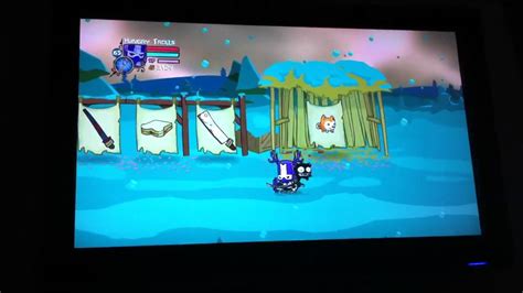 Image result for Castle Crashers Secrets