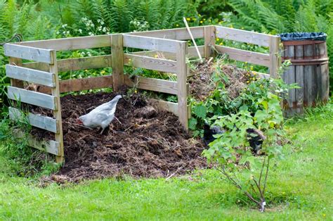 Image result for Compost Pile