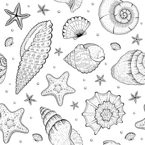 Image result for Sea Shell Pattern Drawing