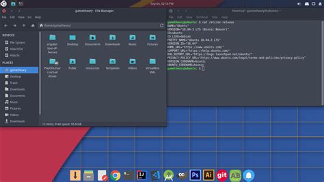 Image result for Xfce Look Linux