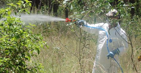 Image result for Weed Control Spraying