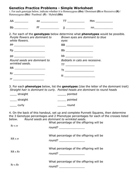 Image result for Simple Inheritance Practice Problems