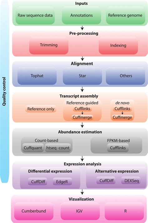 Image result for RNA-seq Data