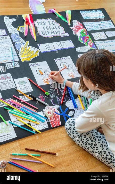 Image result for Science Project For6 Th Class