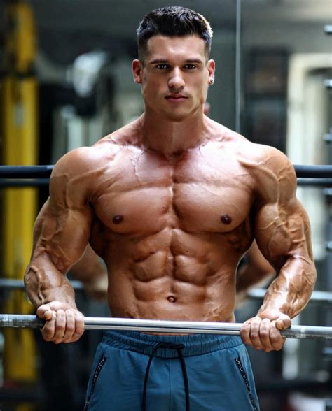 Image result for Muscular Labrador