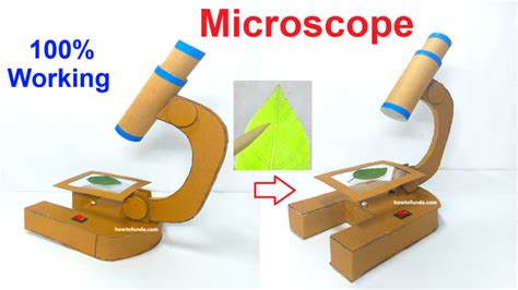 Image result for Microscope Science Fair Projects