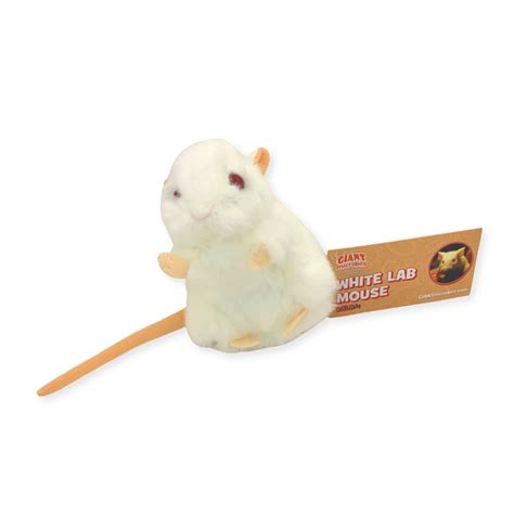 Image result for Lab Mouse Wt