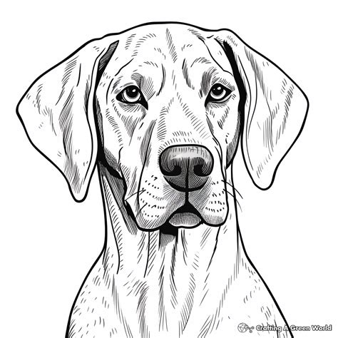 German Outfit Coloring Page ਲਈ ਪ੍ਰਤੀਬਿੰਬ ਨਤੀਜਾ