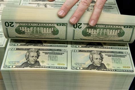 Image result for New $20.25