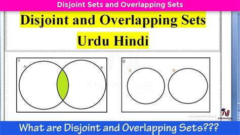 Overlap by Disjoint Sets に対する画像結果