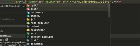 Visual Studio Code Error Plugins に対する画像結果