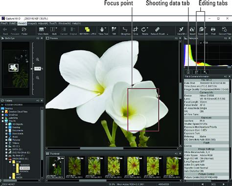 Image result for Nikon Picture Project Software
