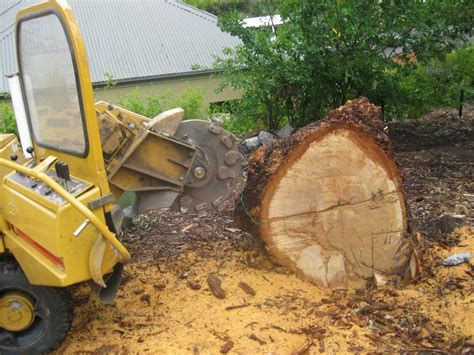 Image result for Stump Removal Methods