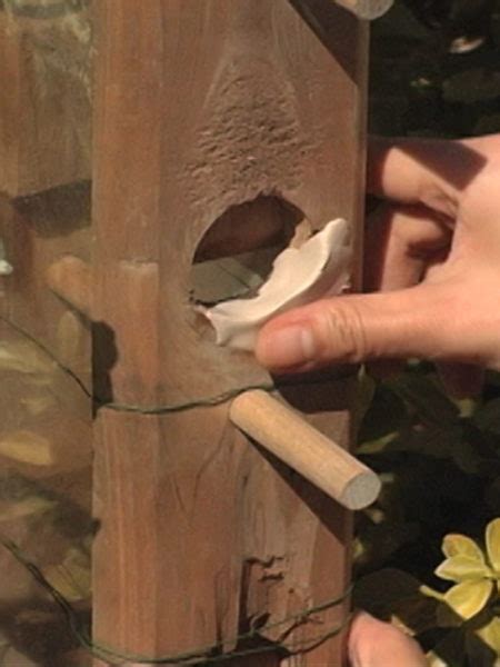 Toradh íomhá ar PC Pool Epoxy