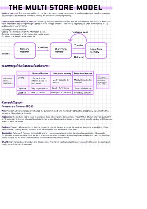 Image result for Multi-Store Memory Model Psychology