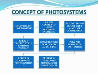 Image result for Red Power Absorbtion Effect