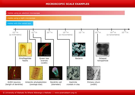 Toradh íomhá ar Particle Size Microscope