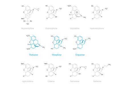 Image result for API Substance