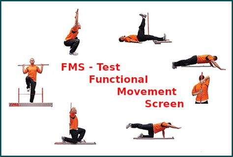 Toradh íomhá ar Functional Movement Screen Booklet