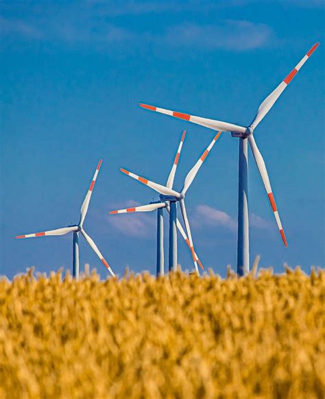 Renewable Resource に対する画像結果