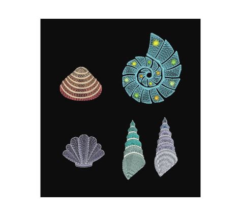 Image result for Shell Design Pattern