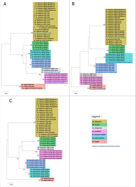 Image result for Maximum Likelihood Evolution