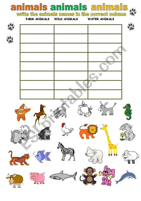 Image result for Categorizing Worksheets
