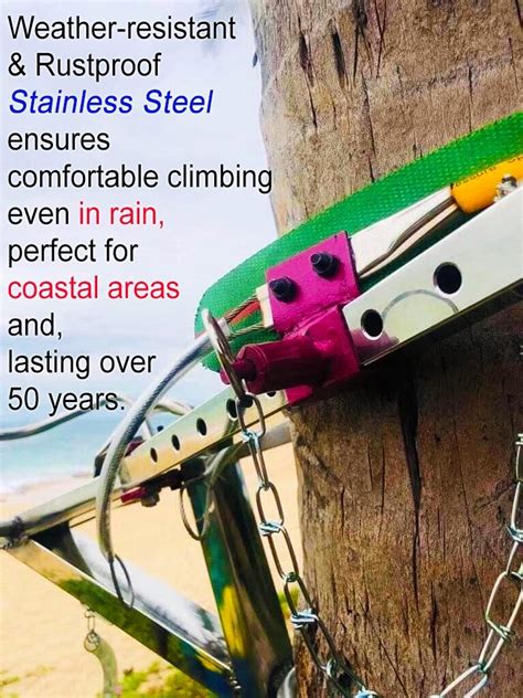 Most Comfortable Tree Climber-க்கான படிம முடிவு