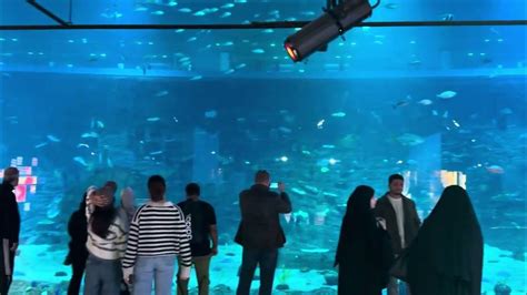 Image result for Qatar University Vlog