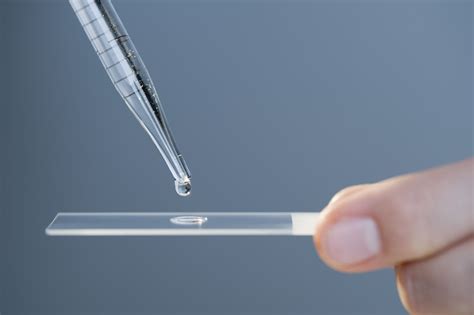 Image result for Board for Microscope Slides