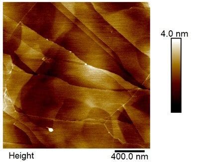 Scanning Probe Microscopy に対する画像結果