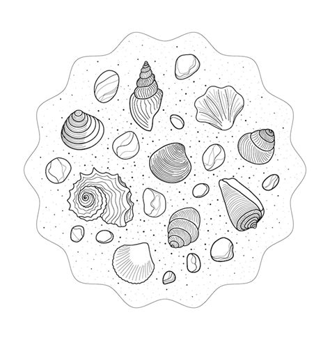 Image result for Object Line Drawings Shells