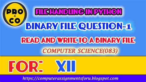 Toradh íomhá ar Binary File Handling in Python