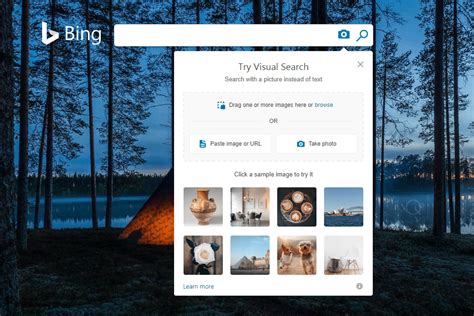 Image result for Bing Advanced Search Box