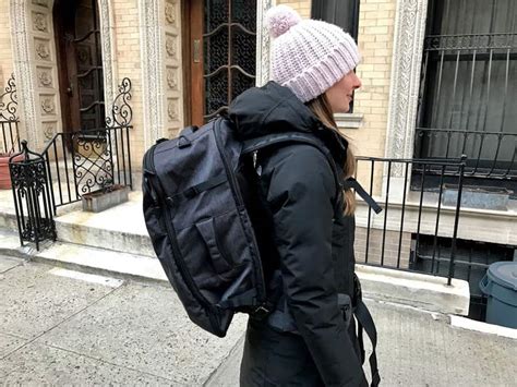 Image result for Tortuga Set Out