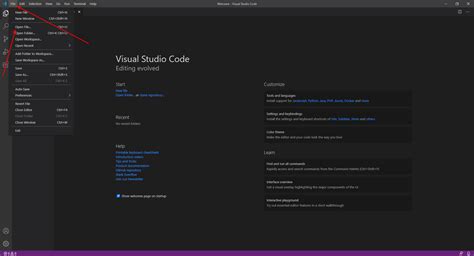 Visual Studio Code Erklerbuch に対する画像結果