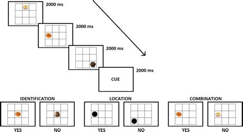 Image result for Working Memory Task