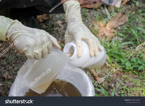 Composite Sampling at Beach に対する画像結果