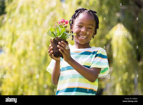Image result for Strong Boy Plant