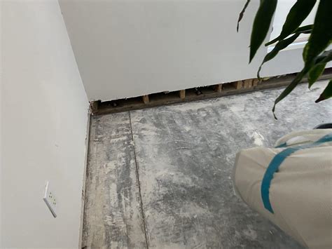 What Is Sump Pump in Basement に対する画像結果