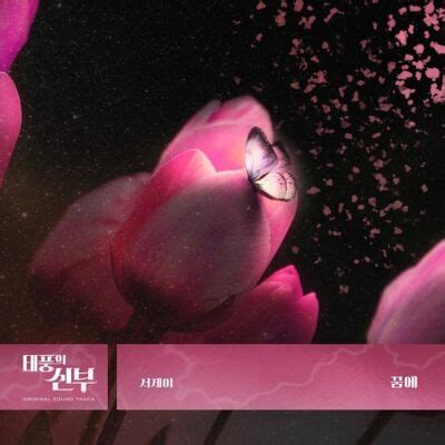 Toradh íomhá ar The Princess Bride OST