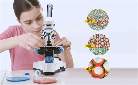 Image result for Swift Microscope