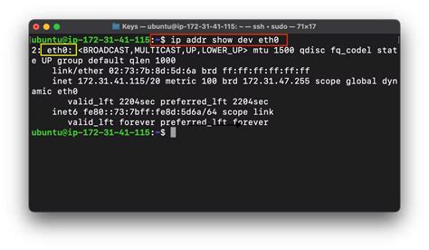 Bildergebnis für How to Show Device Interface and IP Address Using Linux