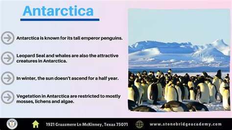 Image result for Antarctica for Kids