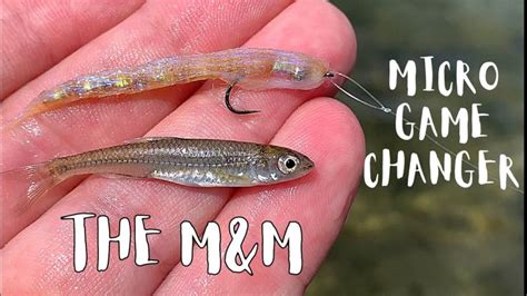 Image result for Micro GameChanger Fly