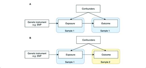 Randomization Designs に対する画像結果