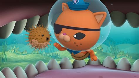 Octonauts Puffer Fish に対する画像結果